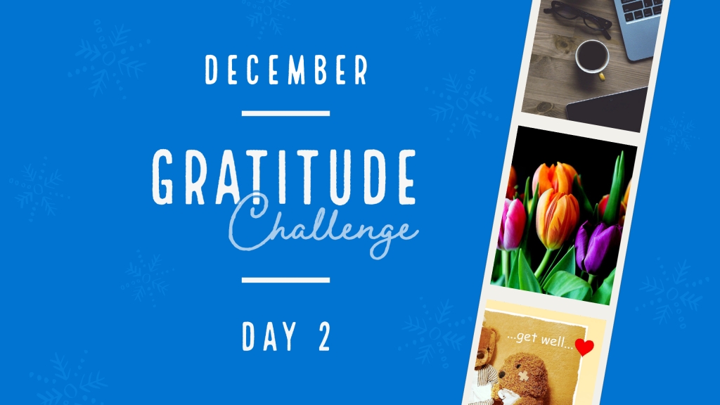 DAY 2: Gratitude Challenge: My Workplace | JOUR 2 : Défi de gratitude : Mon endroit de travail